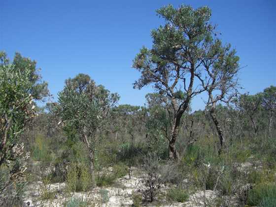 Moore River National Park