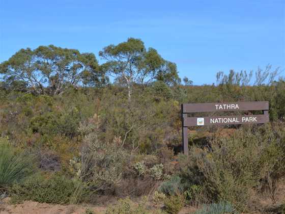 Tathra National Park