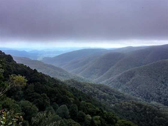 Barrington Tops State Forest