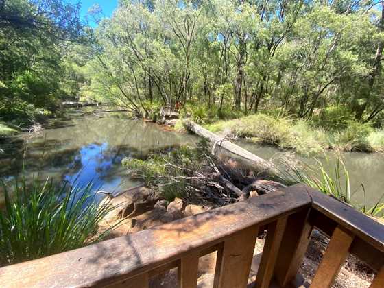 Vasse River and Rotary Park
