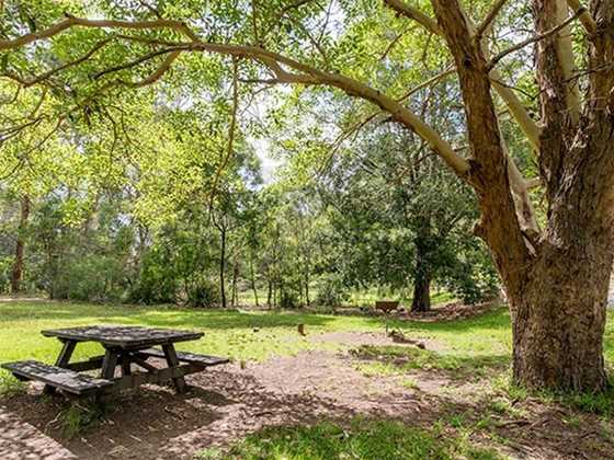 Illoura picnic area