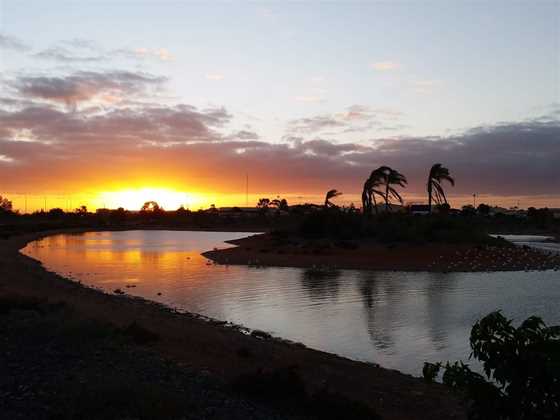 Whyalla Wetlands