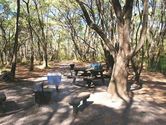 Crystal Springs Campground