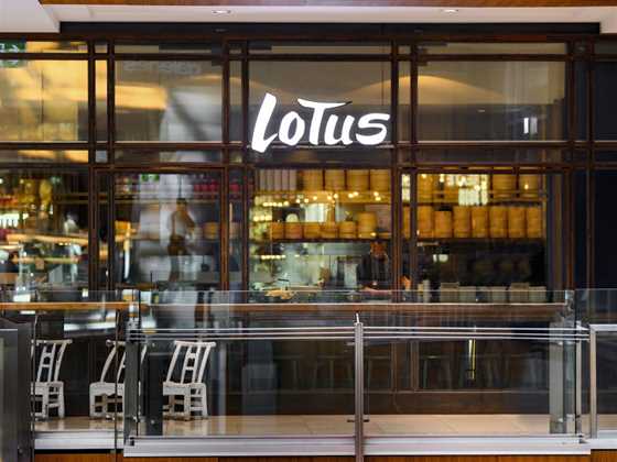 Lotus The Galeries