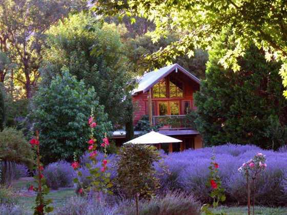 Lavender Hue Farm B&B, and Tea Rooms