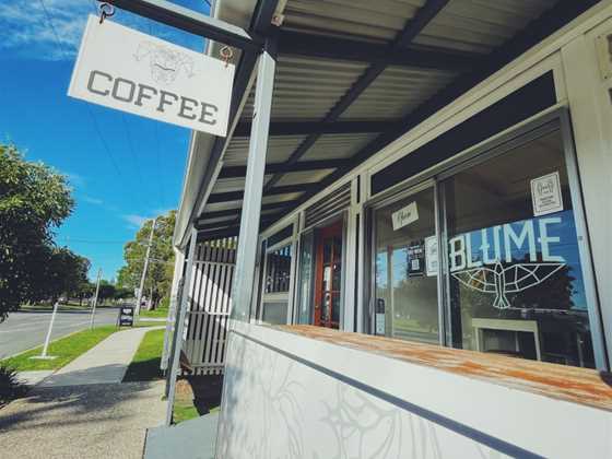 BLUME - Specialty Coffee