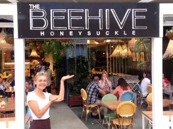 The Beehive Honeysuckle