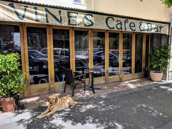 Vines Cafe & Bar
