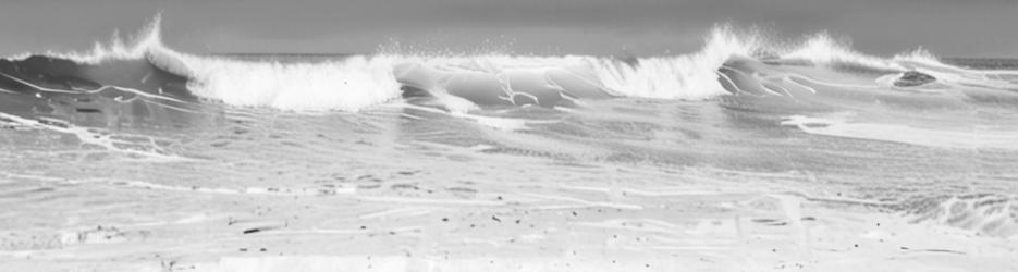 Surfing At Trigg Beach - Localista