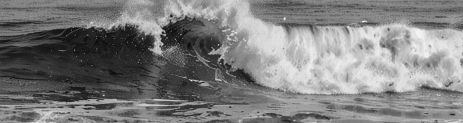 Surfing At Scarborough Beach - Localista