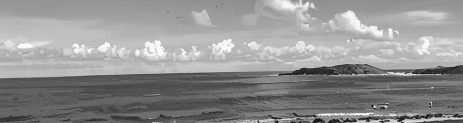 Surfing at Lancelin - Localista