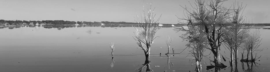 Dumbleyung Lake Nature Reserve - Localista