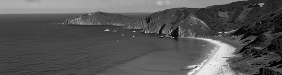 Shelley Beach Lookout - Localista