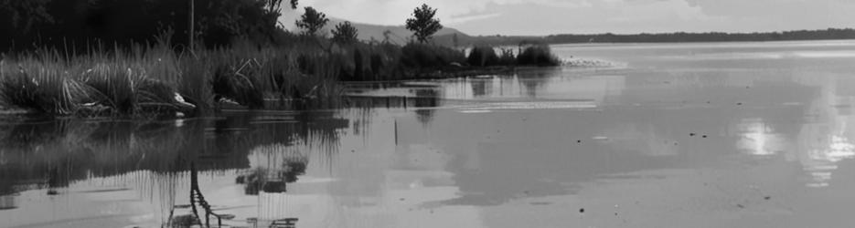 Lake Jasper Campground - Localista