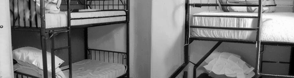 Tiger Hostel Sydney - Localista