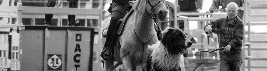 Australian Rodeo Heritage Centre - Localista