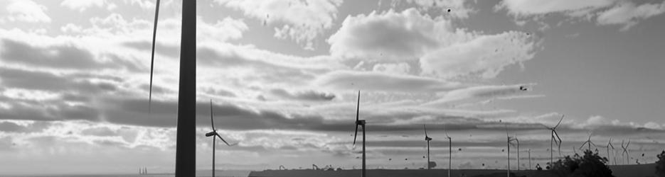 Albany Windfarm - Localista