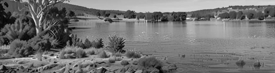 Oyster Harbour Fish Traps - Localista