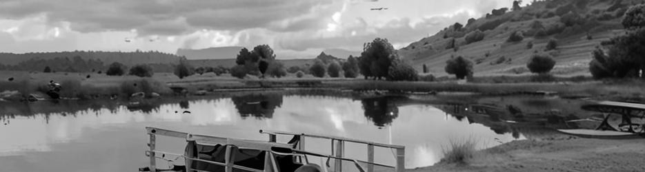 Daintree River Wild Watch - Localista