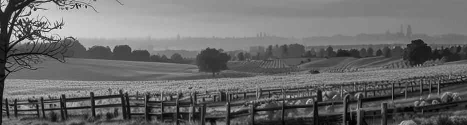 Yarra Valley Winery Tours - Localista