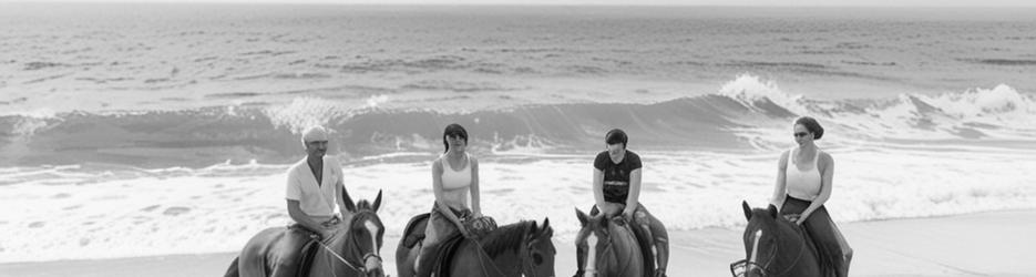 Horse About Tours - Localista