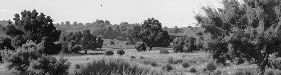 Uluru Limousine Tours - Localista