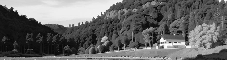 Walk Cataract Gorge - Localista