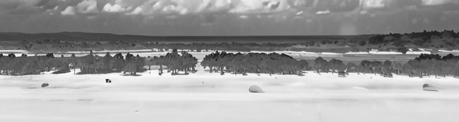 Sea Explorer Fraser Island - Localista