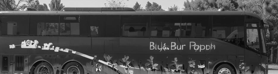 Blue Bus Tours - Localista