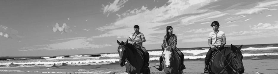 Sahara Trails Horse Riding Port Stephens - Localista