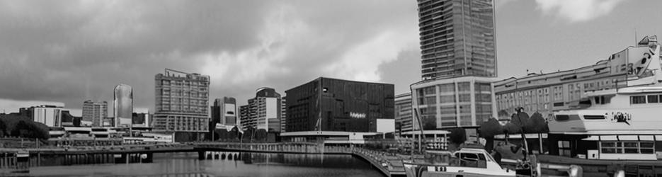 DARLING HARBOUR FERRIS WHEEL - Localista