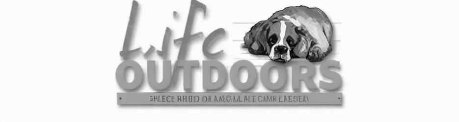 Life Outdoors - Localista