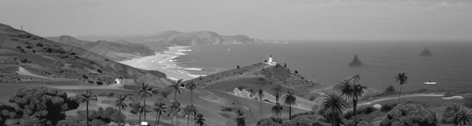 Harrison Cape Reinga Tours - Localista