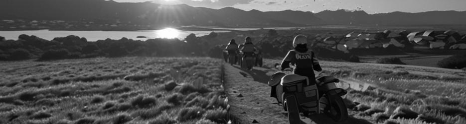 Molesworth High Country Tours - Localista