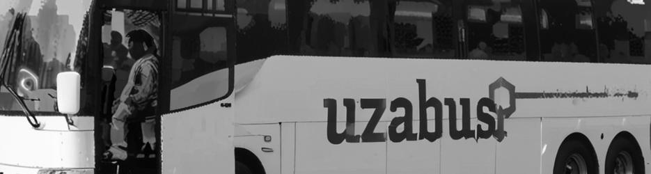 Uzabus - Bay of Plenty - Localista