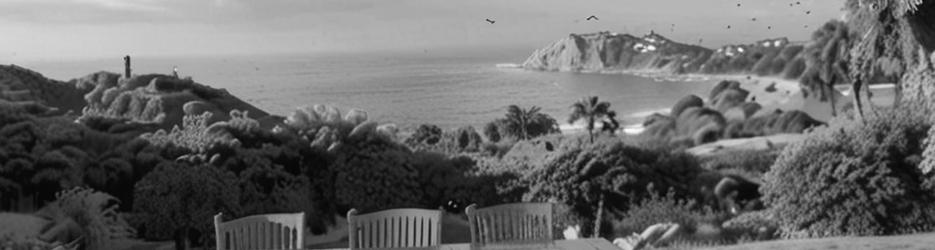 Kereru at Kaiteriteri - Kaiteriteri Holiday Home - Localista