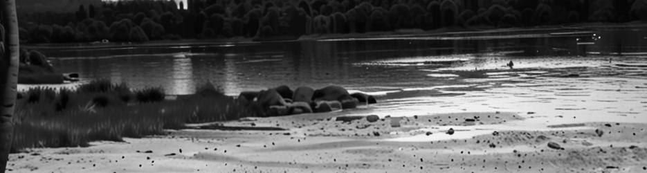 Abel Tasman National Park - Localista