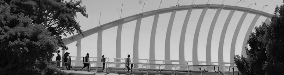 Te Rewa Rewa Bridge - Localista