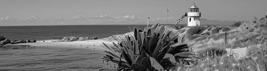 Waipapa Point Lighthouse - Localista