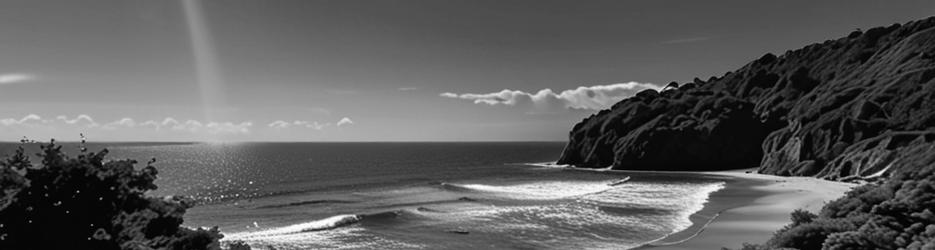 Te Henga Walkway - Localista