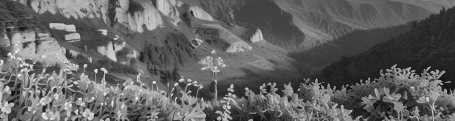 Remutaka Crossing Lookout - Localista