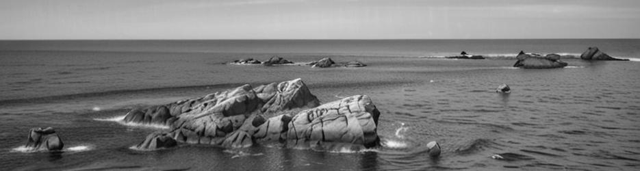 Shag Point Lookout - Localista