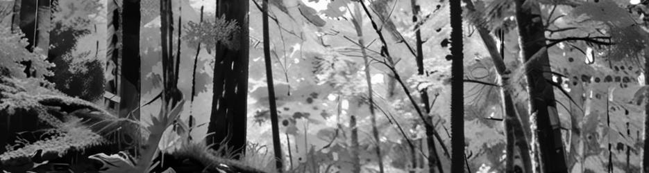 The Brook Waimarama Sanctuary - Localista