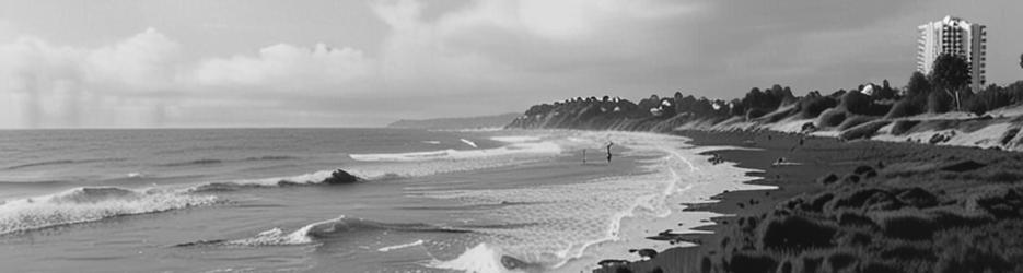 New Plymouth Coastal Walkway - Localista