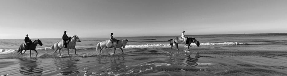 Hack'n Stay Golden Bay, Beach Horse Riding, Camping, Accommodation - Localista