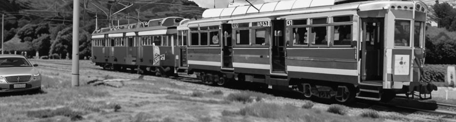 Wellington Tramway Museum - Localista