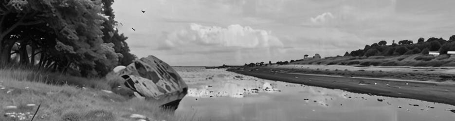 Kaupokonui Beach - Localista