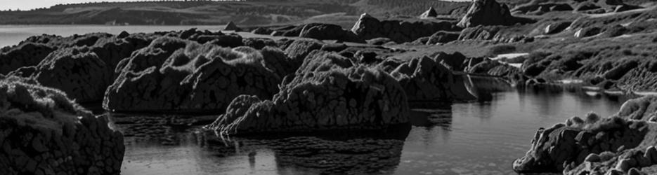 Wharau Road Beach - Localista