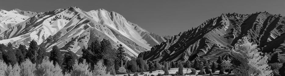 Lake Pearson/ Moana Rua Wildlife Refuge - Localista