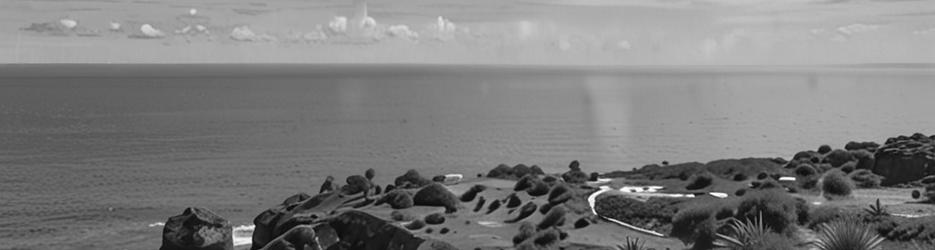 Muriwai Beach Scenic Roadside Lookout - Localista